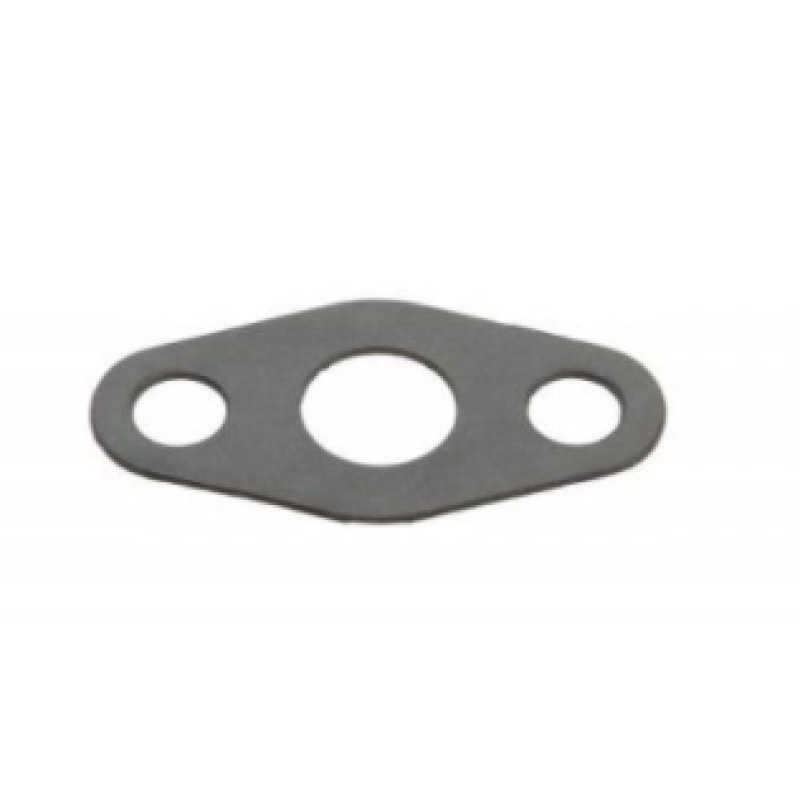 BorgWarner Gasket EFR Oil Drain Gasket