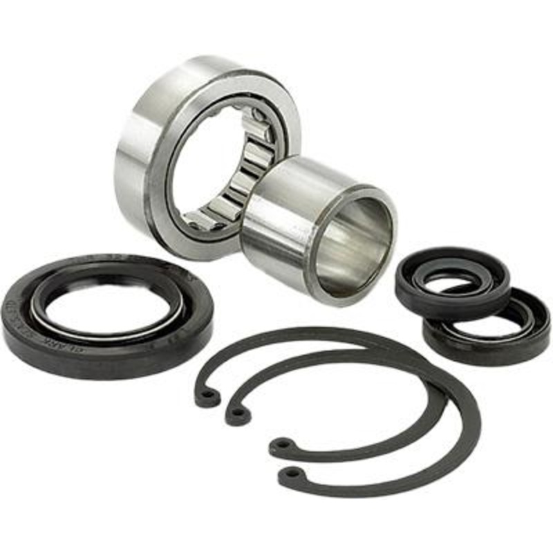 All Balls Inner Primary Bearing and Seal Kit 25-3101
