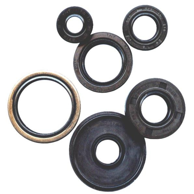 Vertex Oil Seal Kit 822188