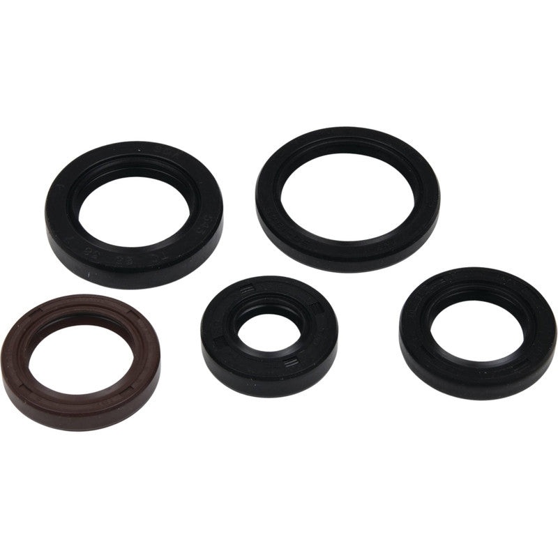 Vertex Engine Oil Seal Kit 822394