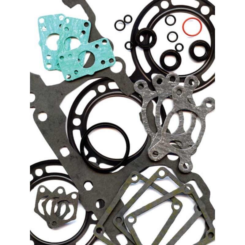 Winderosa Gasket Set with Oil Seals 711306