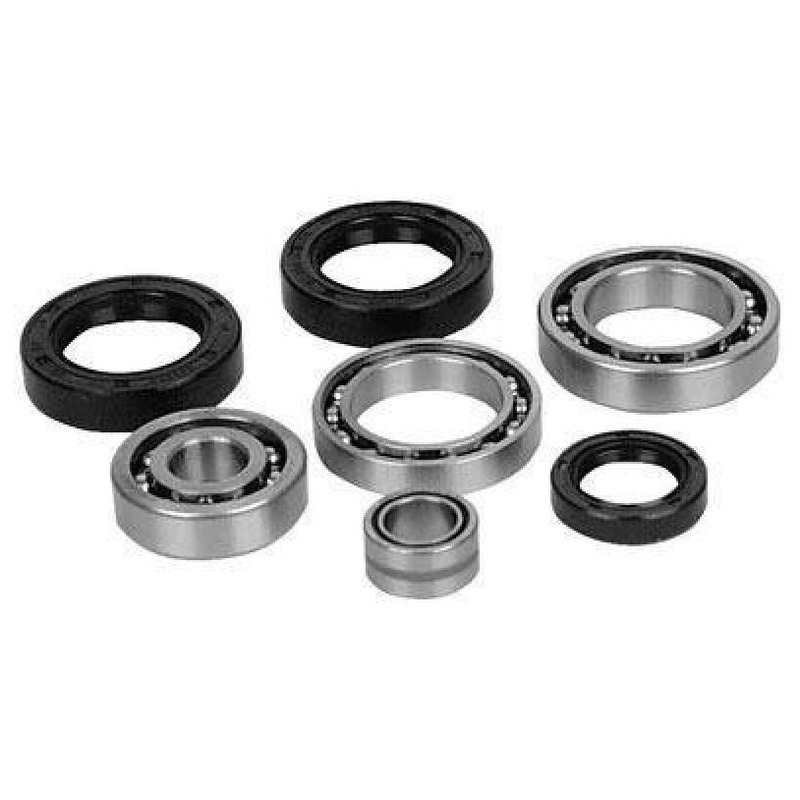All Balls Differential Seal Only Kit 25-2010-5