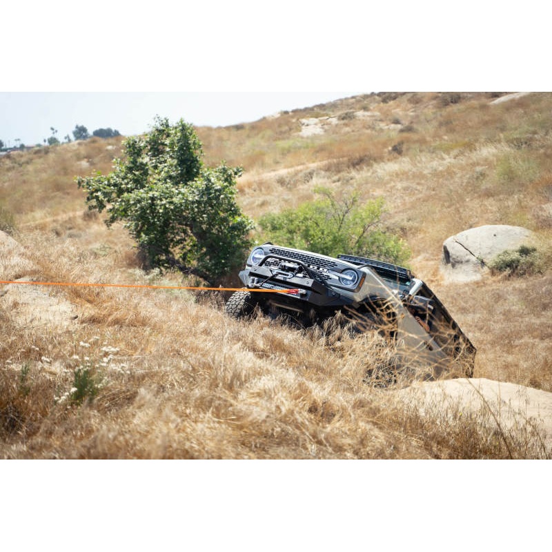 DV8 Offroad Elite Series D-Ring Shackles – Pair (Black)