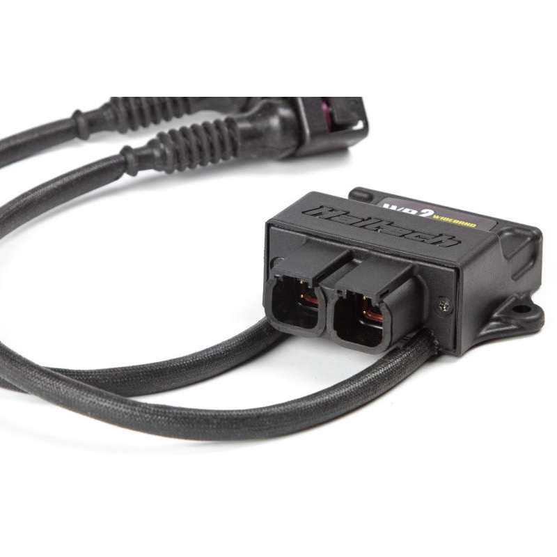Haltech WB2 Dual Channel CAN O2 Wideband Controller Kit